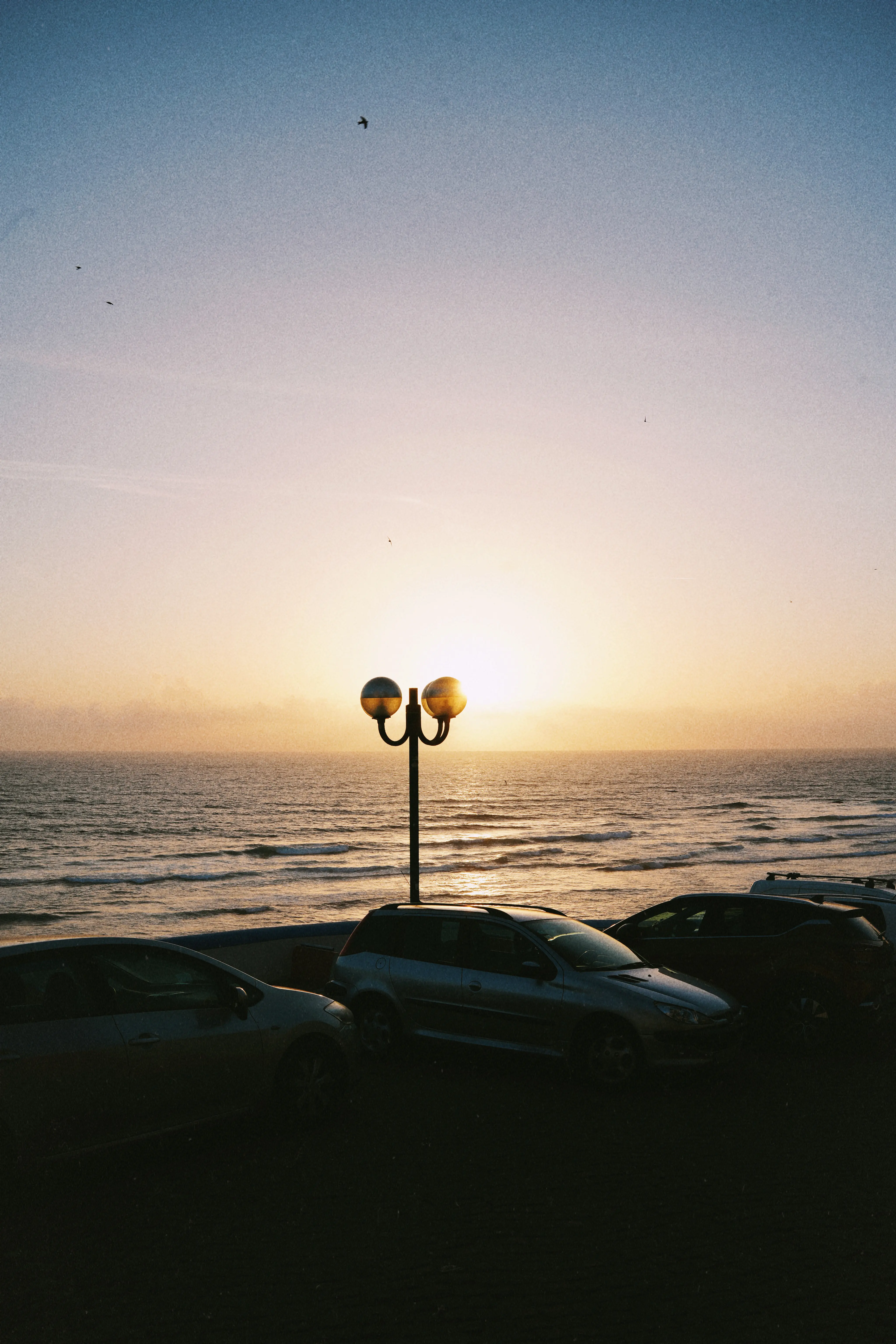 AfterlightImage 1080