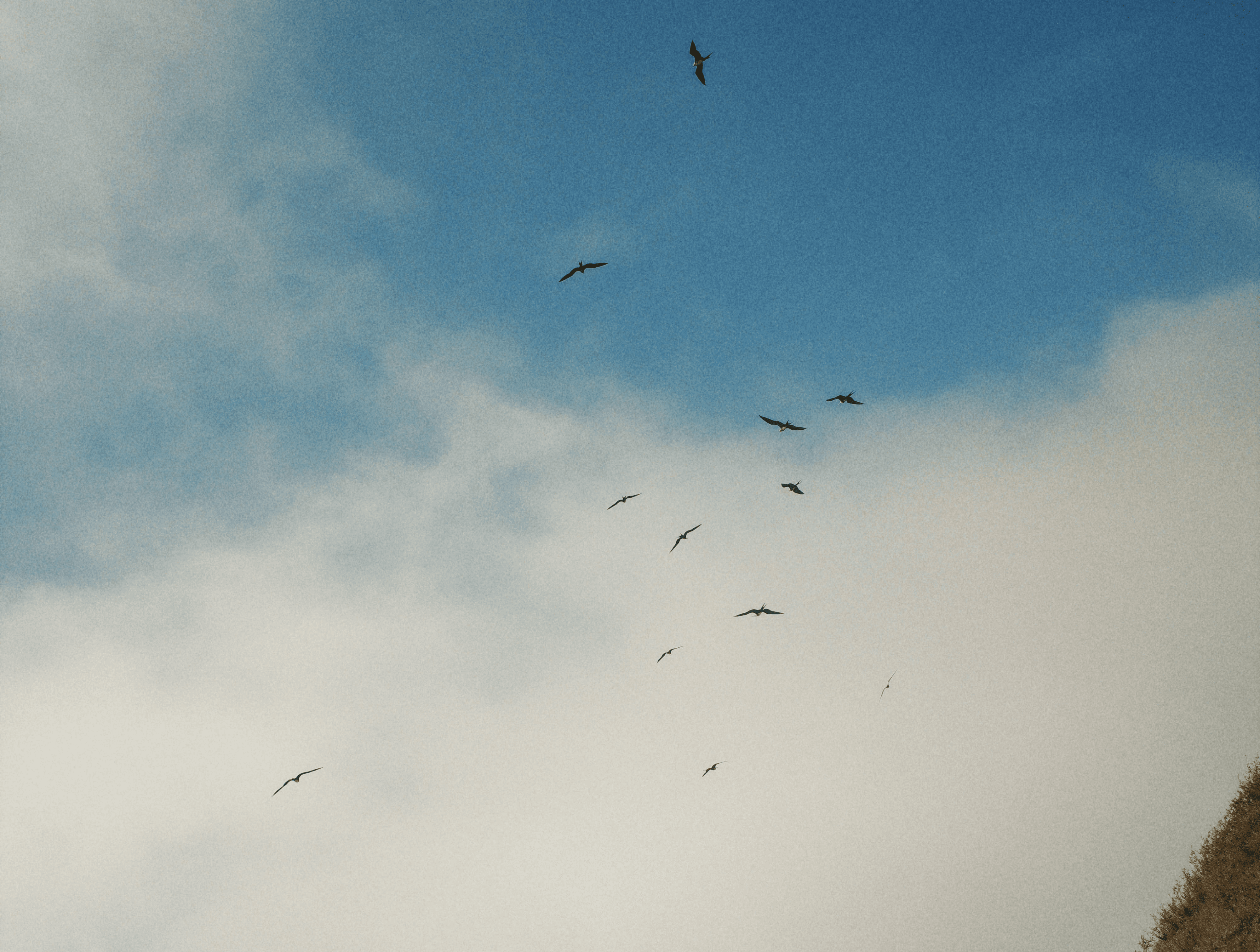 Reportage