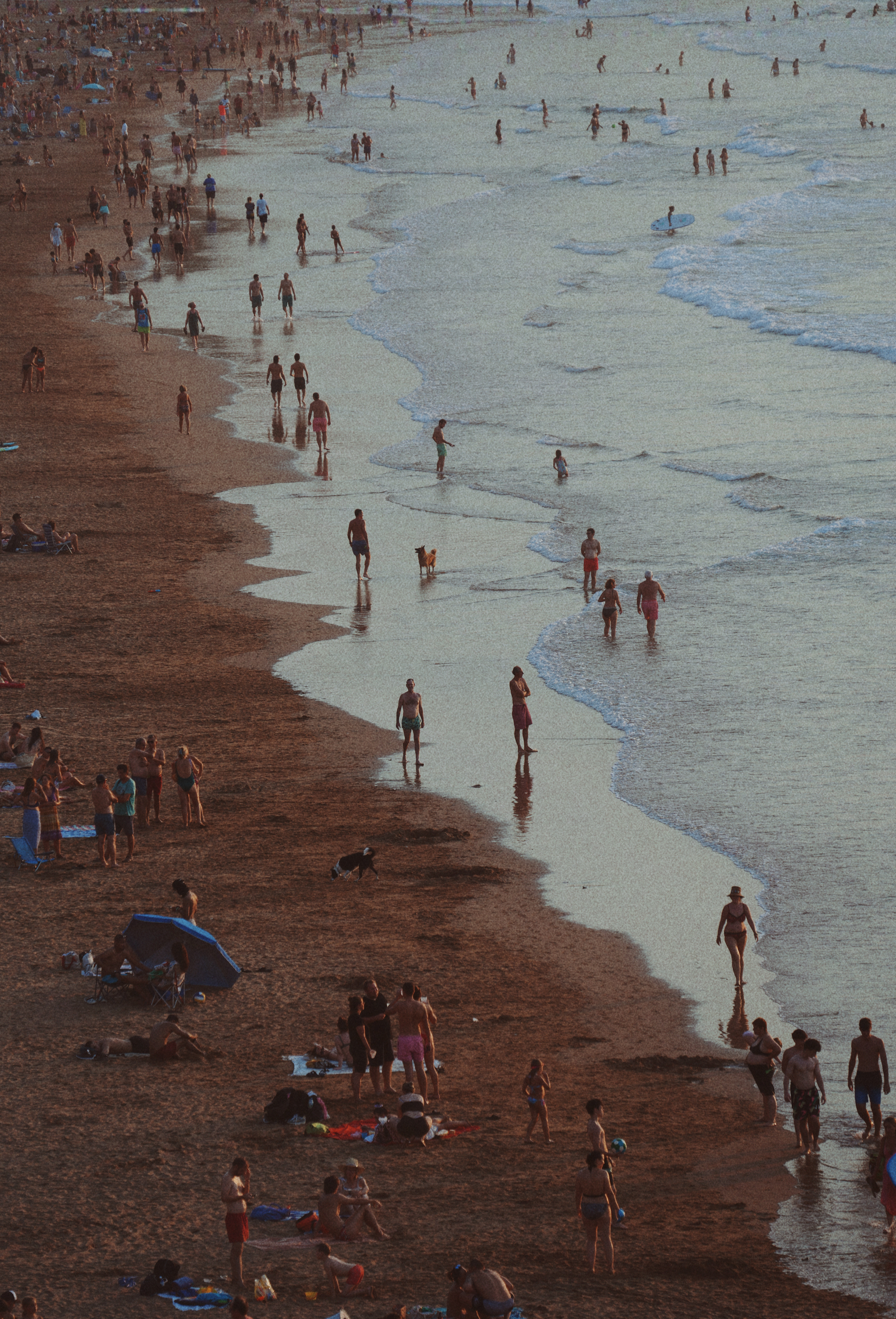 image00249